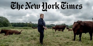 A woman stands in a field with cows under a cloudy sky.