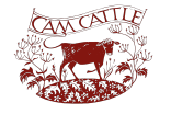 cam cattle 