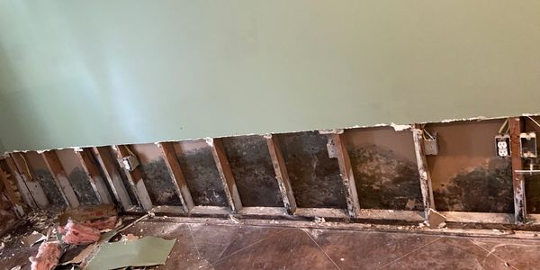 Tradiontal mold remediation: