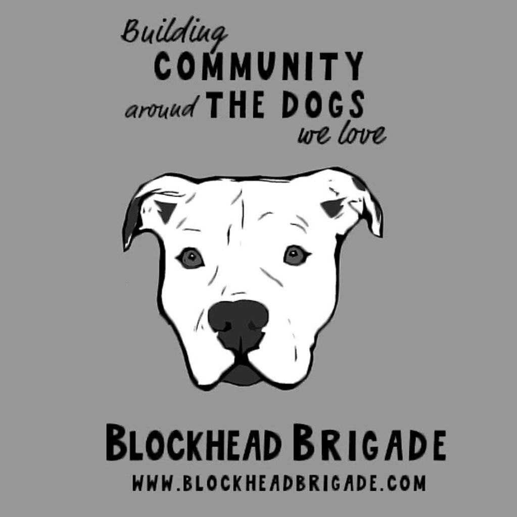 Blockhead Brigade, advocacy, education, Long beach California
