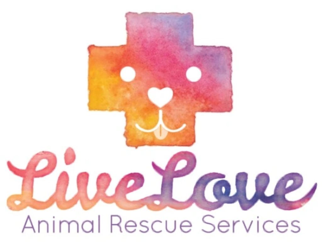 Live Love Animal Rescue, Long Beach California