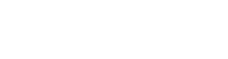NAValet