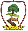 Saygbe Biawogi