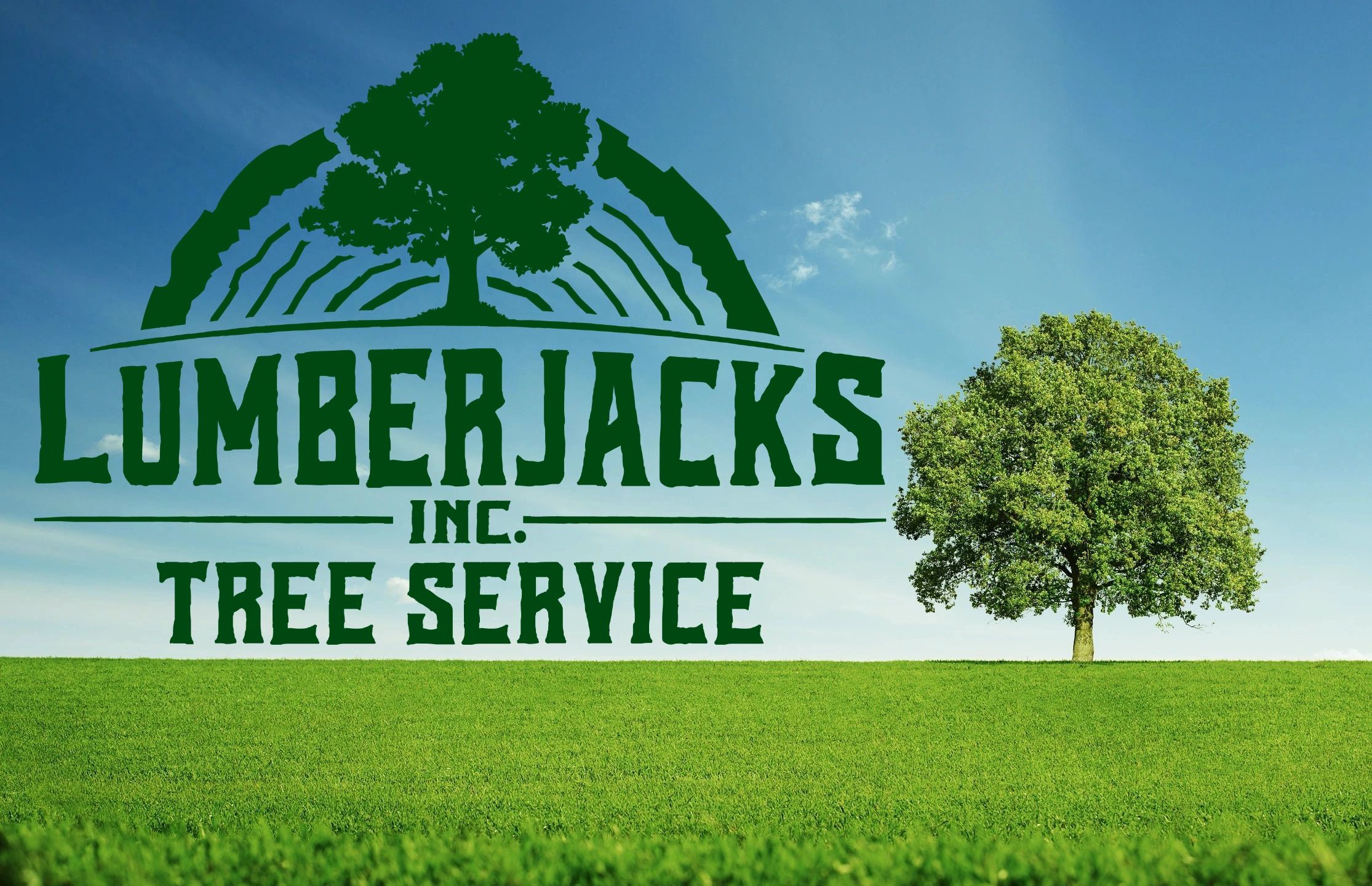 Lumberjacks Tree Service