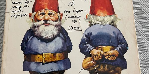 Authoritative book about gnomes with illustrations