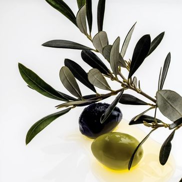 Organic Olive Oil Healty food at Benya747 