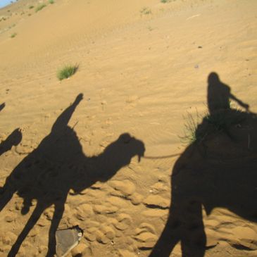 Shadows of Camel Riders - Leader and Follower  (Copyright SDB 2015)