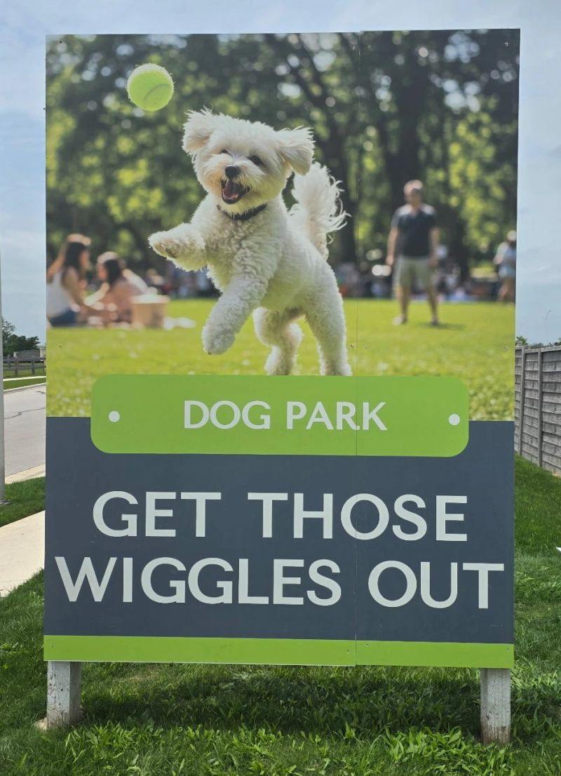Dog Park.jpg