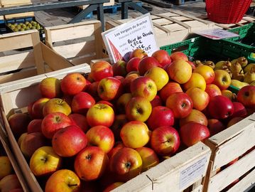 Saturday morning market. A must for anyone visiting Honfleur. Fresh produce, the best cheeses and am