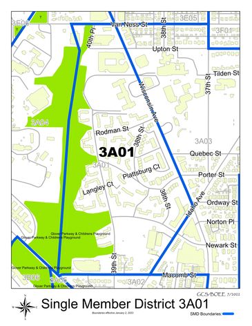 A map of Single Member District 3A01. 