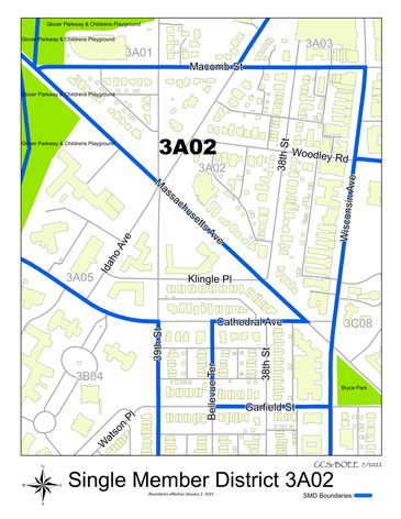 A map of Single Member District 3A02.