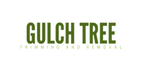 Gulch Tree