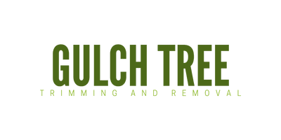 Gulch Tree