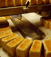 Freshly baked loaves of bread cooling on a rack in a bakery.