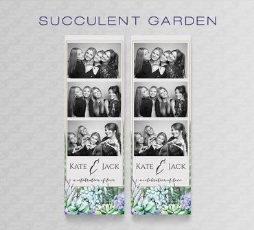 Succulent Garden 1 2x6 with 4