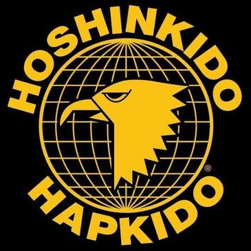 ACADEMIE HOSHINKIDO HAPKIDO JOLIVET - Hapkido, Arts Martiaux, Aikido