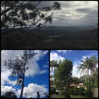 image10
