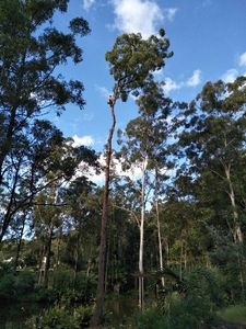 image5