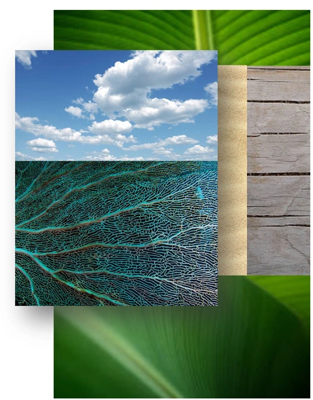 EAC004 Multi-dimensional palm leaf ocean collage. Base masonite to piece acrylic. Can custom size.