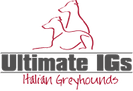 Ultimate IGs