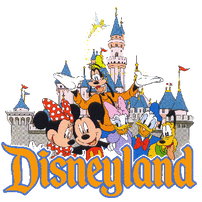 MCDisney Resort Network