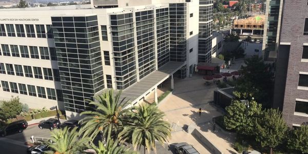 Modern healthcare center with palm trees and parked cars on a sunny day.