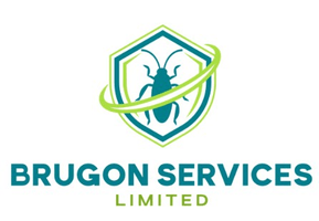 Brugon Services Limited 