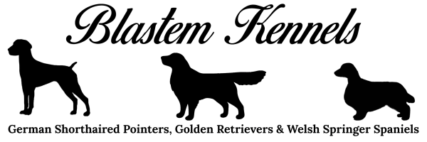 Blastem Kennels