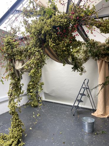 hanging installation using hops and rosehip.