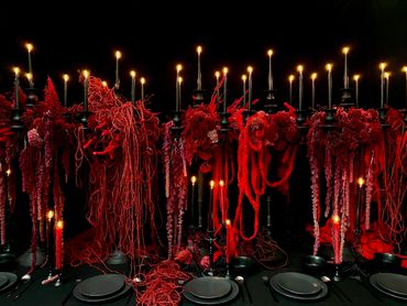 Halloween installation using celosia, amaranth and material.