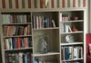 Bookshelf  - commission 