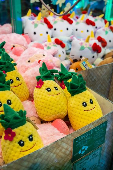 a large variety of plush toys to play for