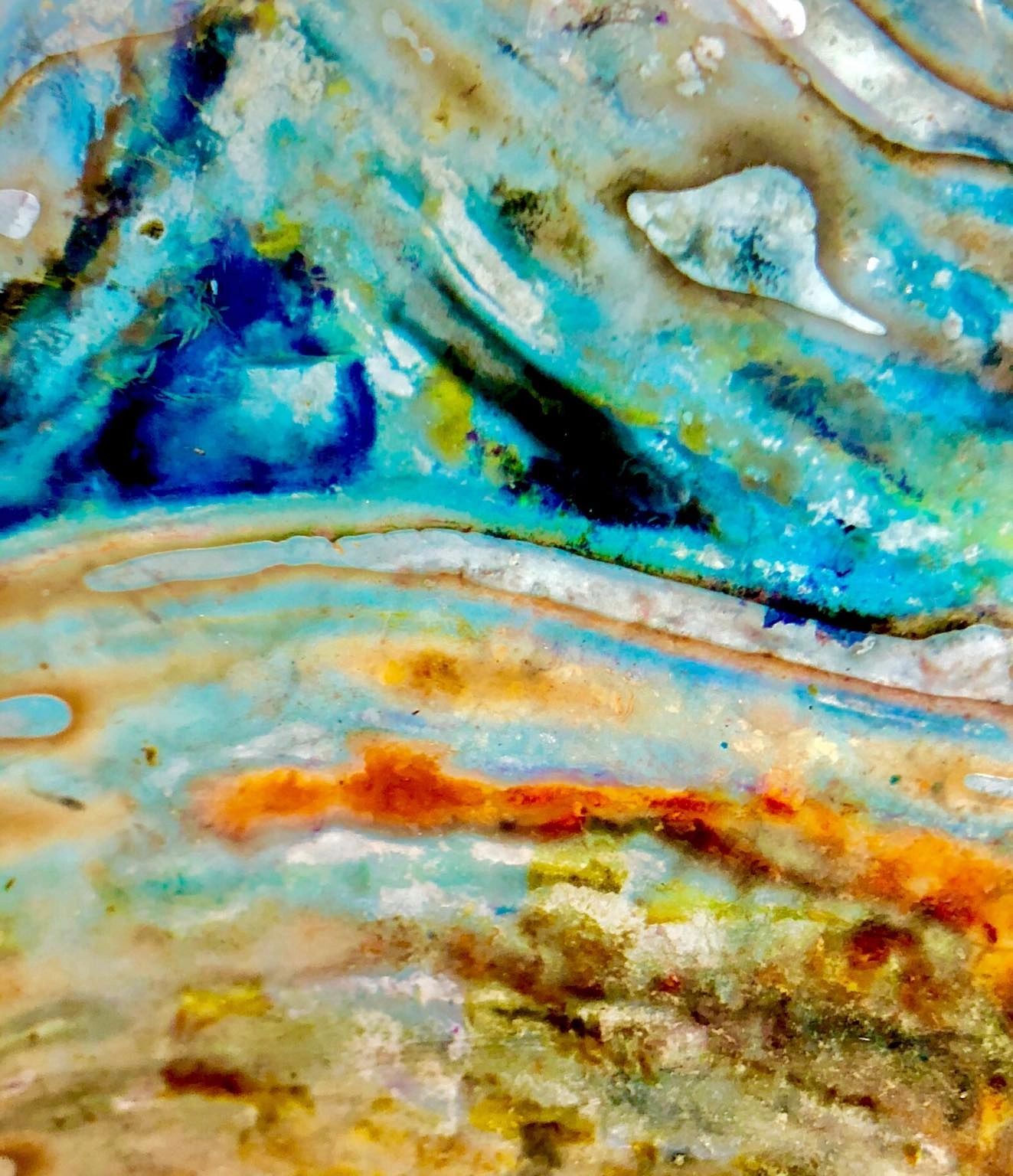 Craig Lamotte Photography