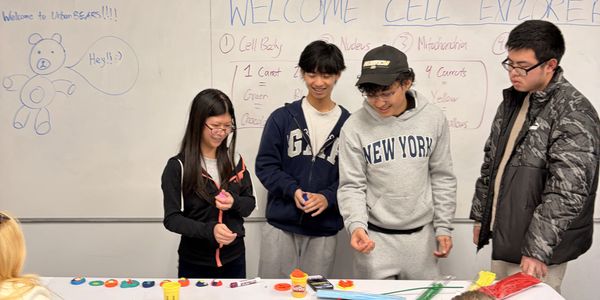 Four students engage in a hands-on activity in front of a whiteboard with cell biology notes.
