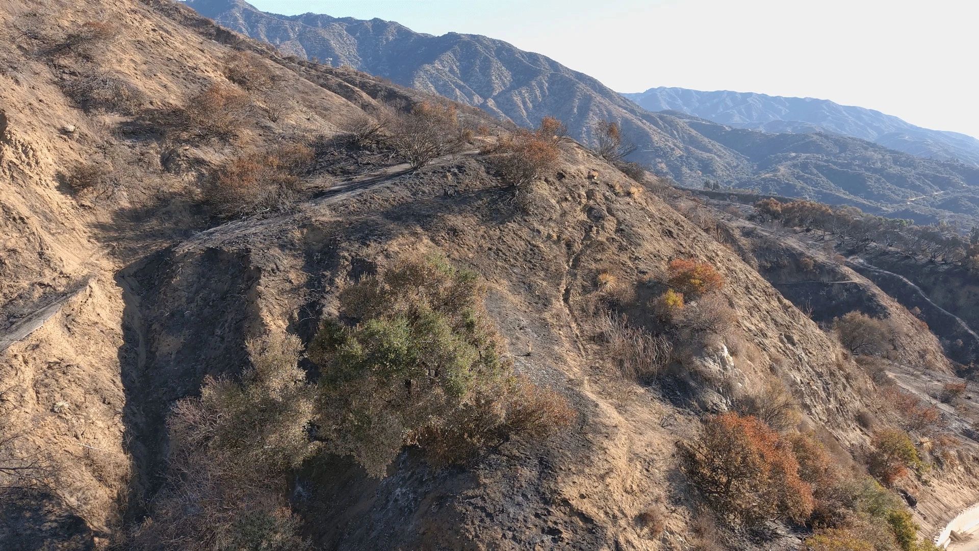 Sierra Madre Listens