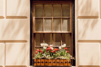 Window ledge with a flower pot attached, beautiful flowers are blooming