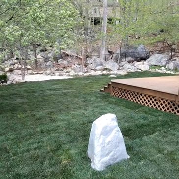 1000sq sod job