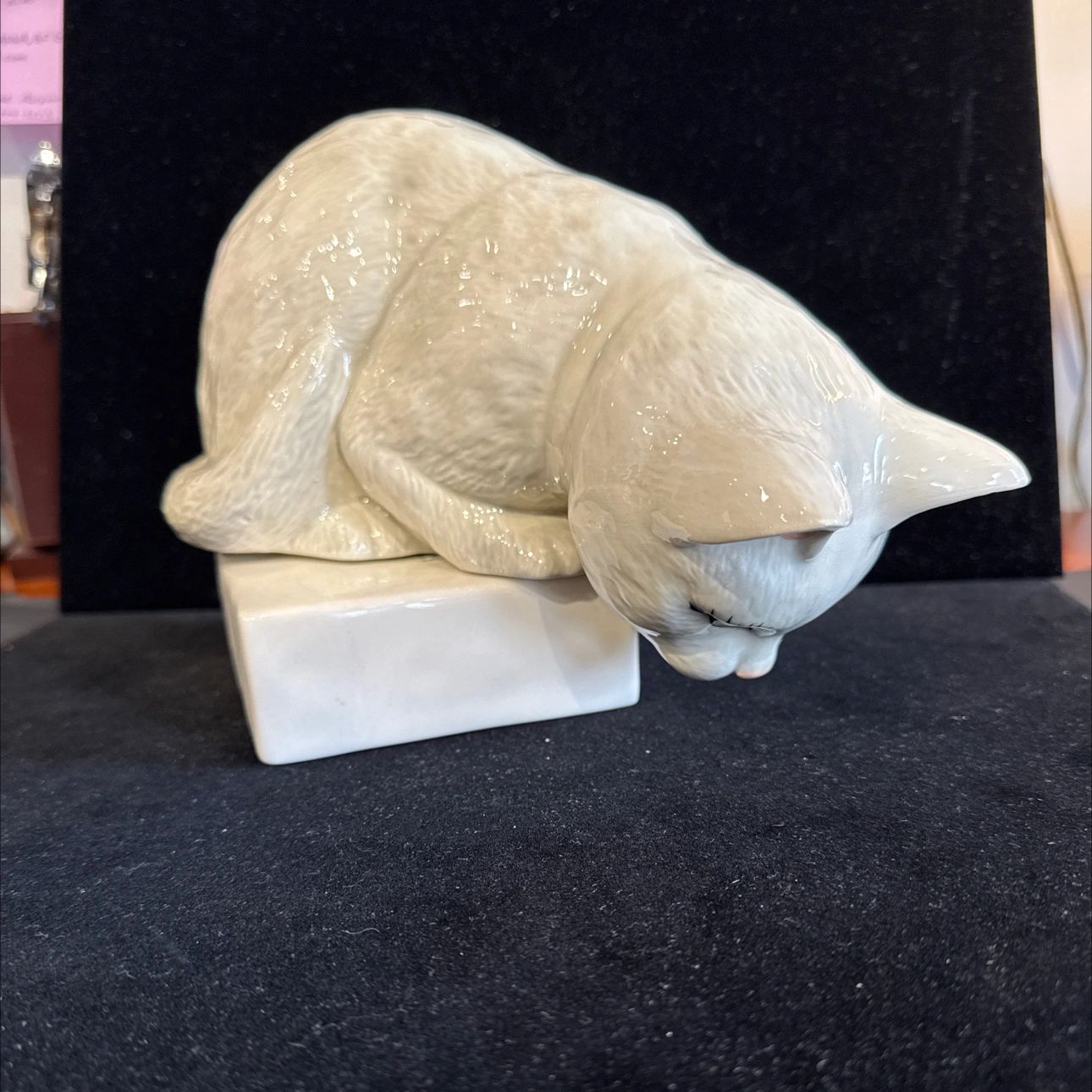 Peeking Porcelain Cat