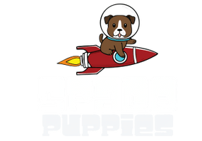 Space Puppies