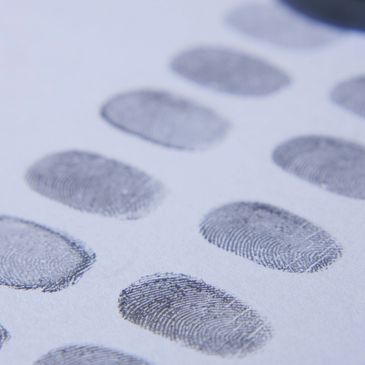 A picture of fingerprints on the paper