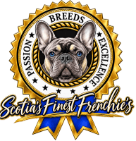 Scotia's Finest Frenchie's