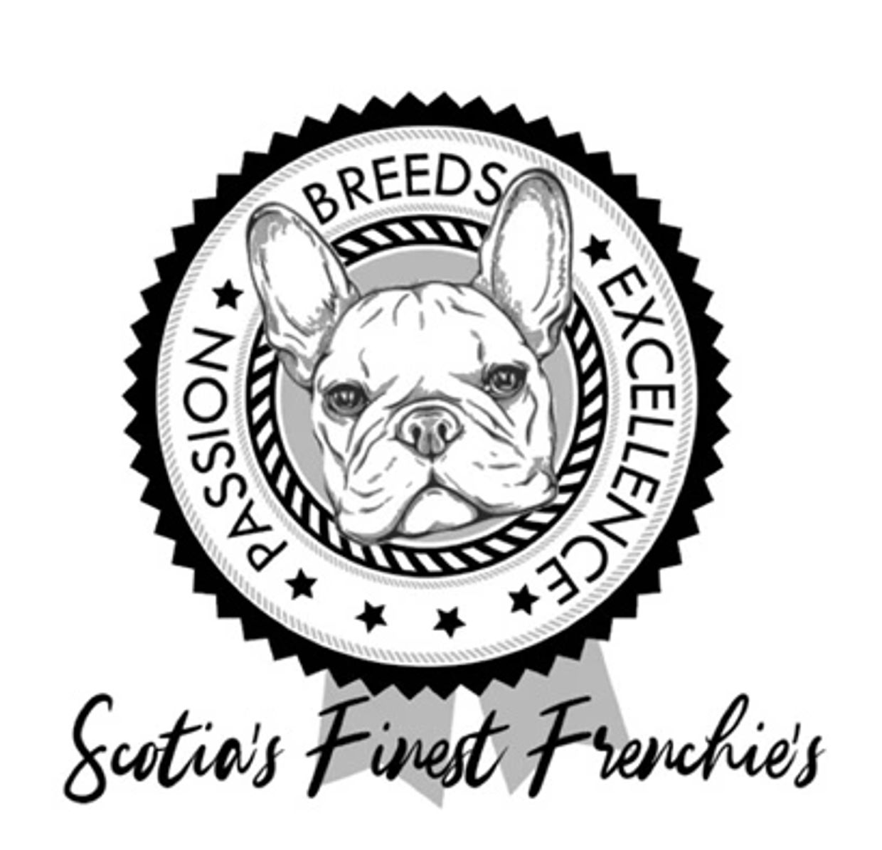 Passion breeds Excellence Healthy French Bulldogs