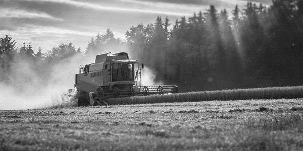 Combine harvester