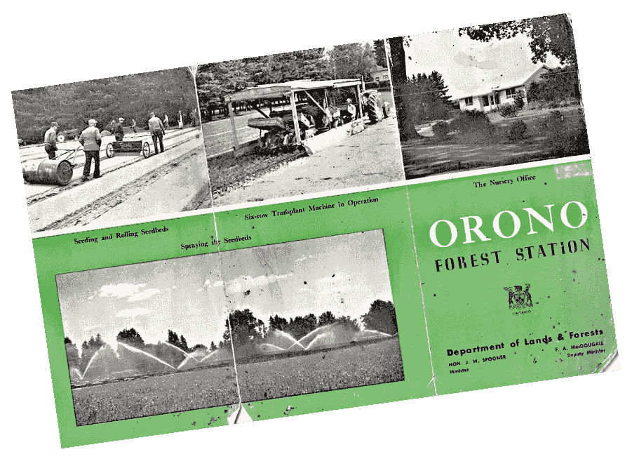 Our History Orono Crown Lands Trust