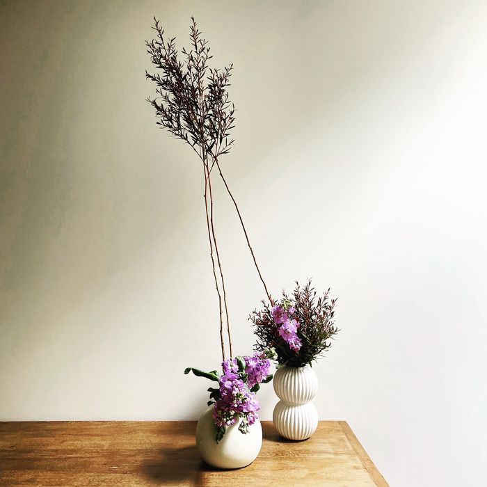 Ikebana installation in two white vases with mauve stock flowers