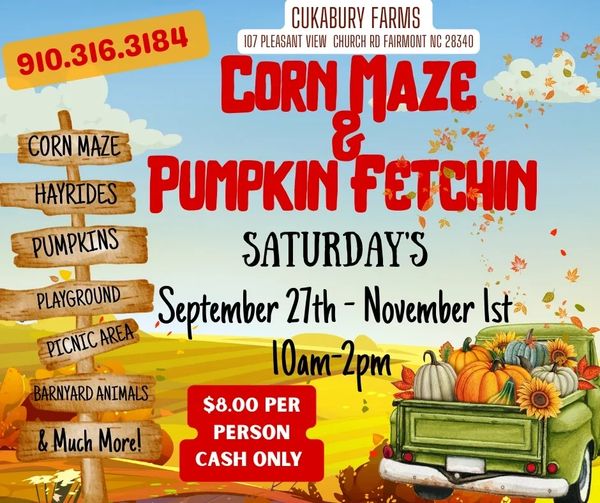 Corn maze hayride pumpkin patch