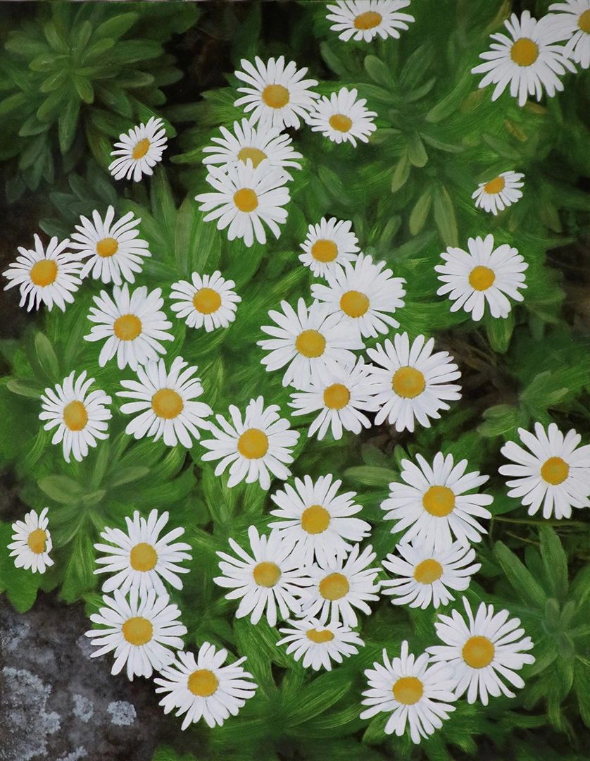 A close look at white daisies that fill the paintings borders.