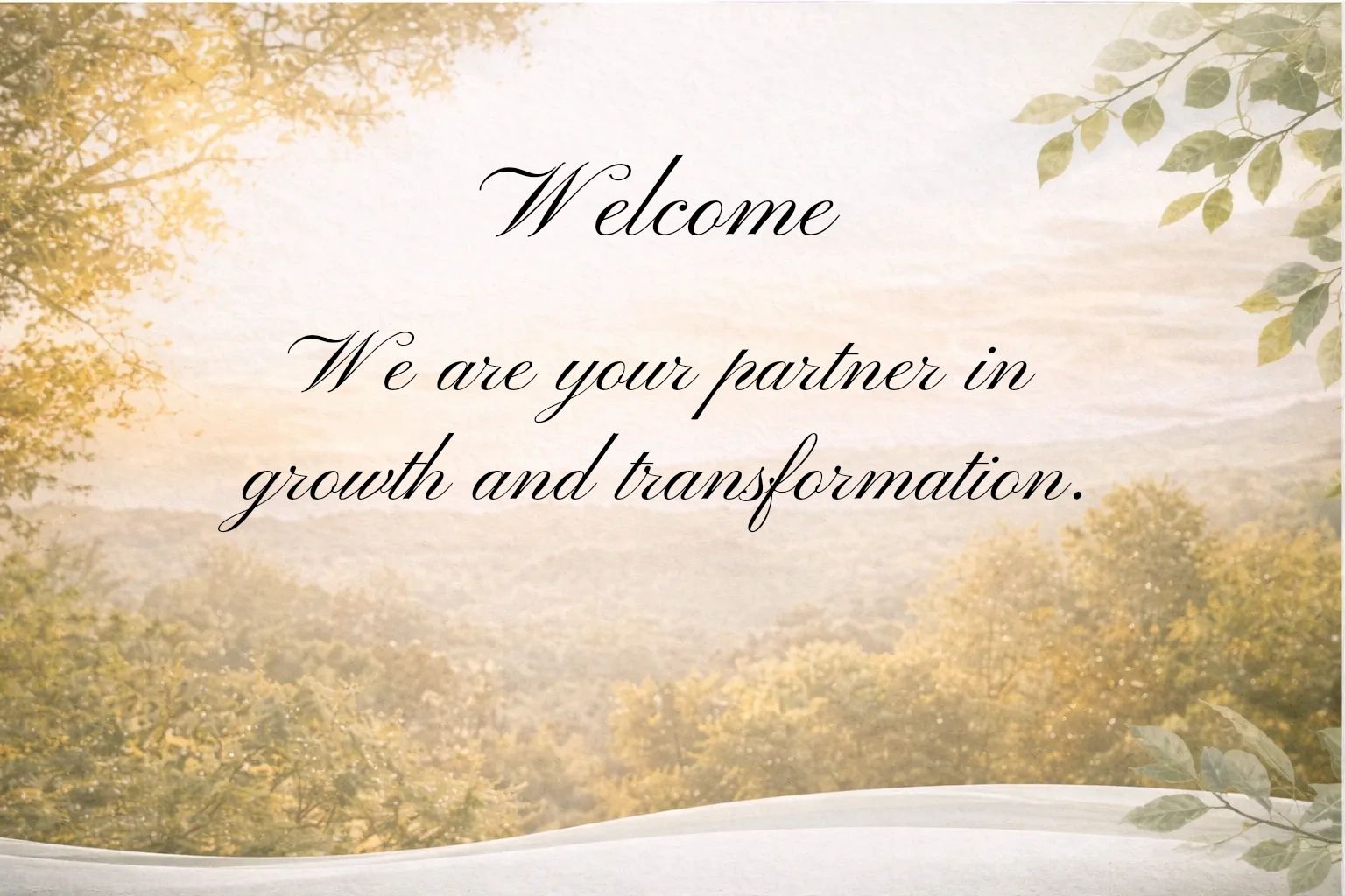 We are your Partner in growth and transformation.