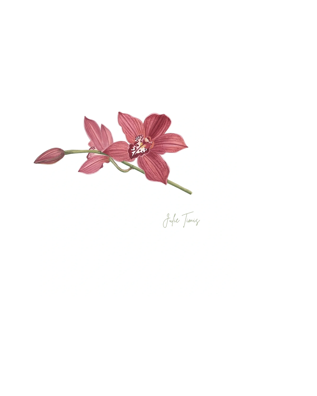 Illustration of a pink orchid flower with two blooms and a bud.