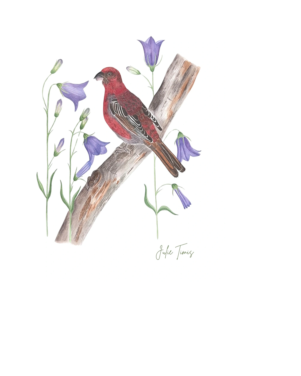 Watercolor painting of a red bird on a branch with purple flowers.